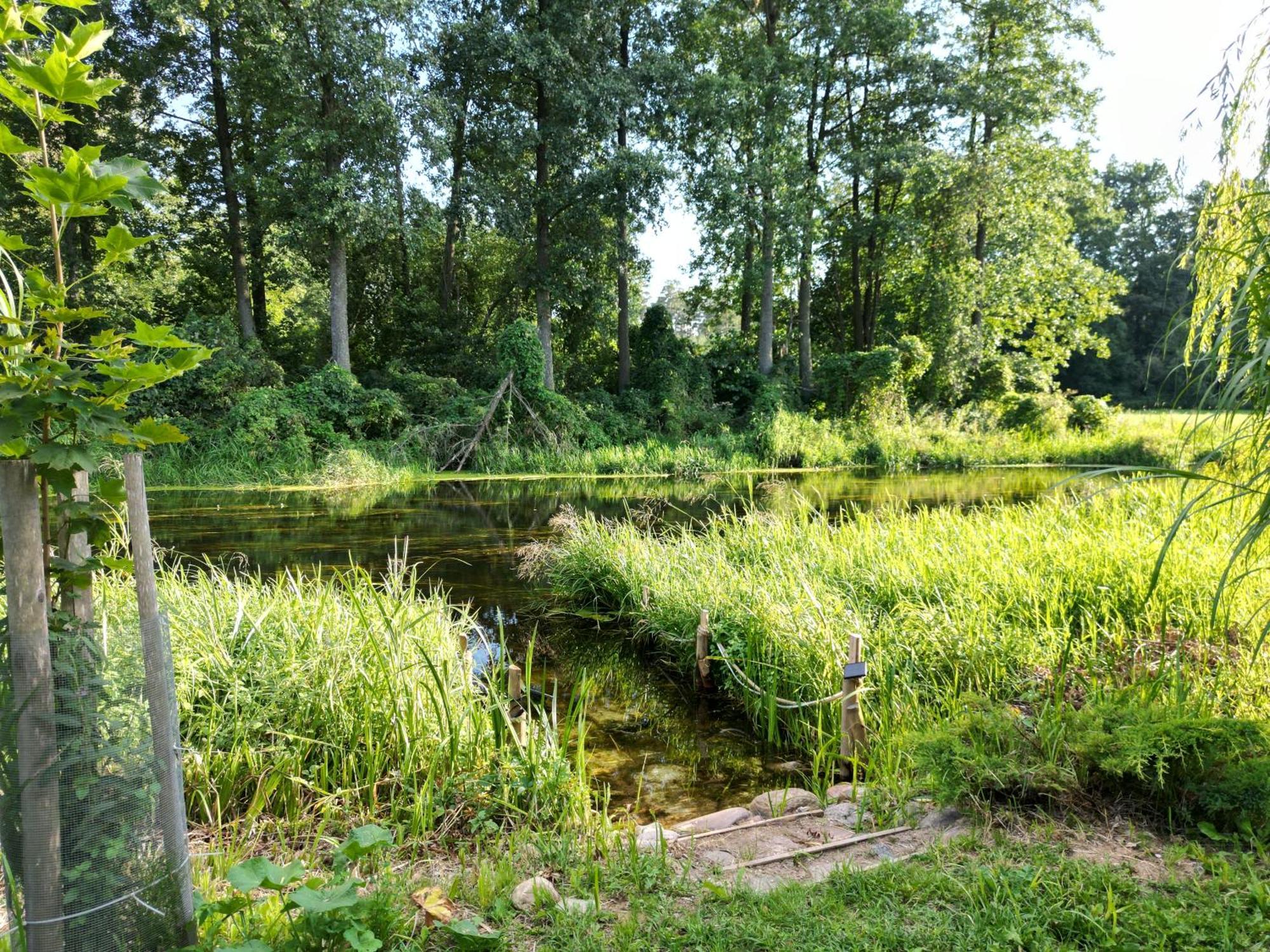 Nad Rzeka Elk Holiday home Prostki